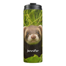 Bouteilles Isothermes Ferret Brown mignon dans l'herbe photo