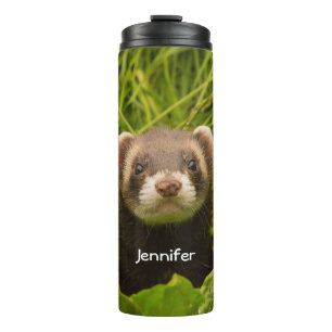 Bouteilles Isothermes Ferret Brown mignon dans l'herbe photo