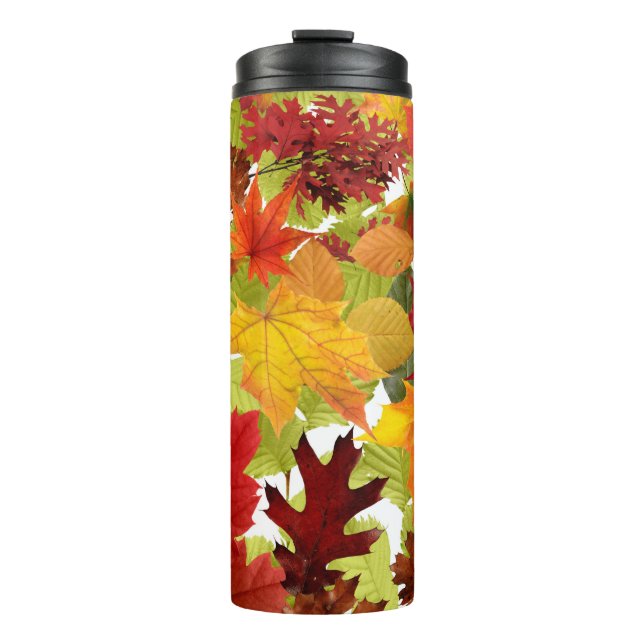 Bouteilles Isothermes Feuilles automnales d'automne (Devant)