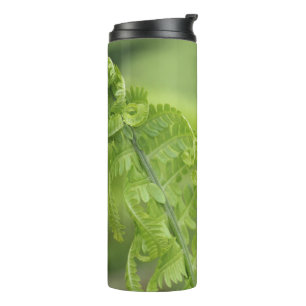 Bouteilles Isothermes Feuilles de curling, Verdure, Arrière - plan flou