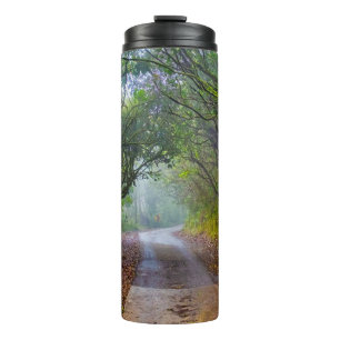 Bouteilles Isothermes Forêt moussue