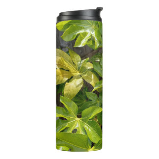 Bouteilles Isothermes Gobelet d'eau avec des feuilles