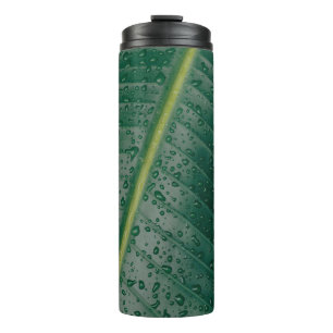 Bouteilles Isothermes gouttelettes d'eau sur feuille de bananier