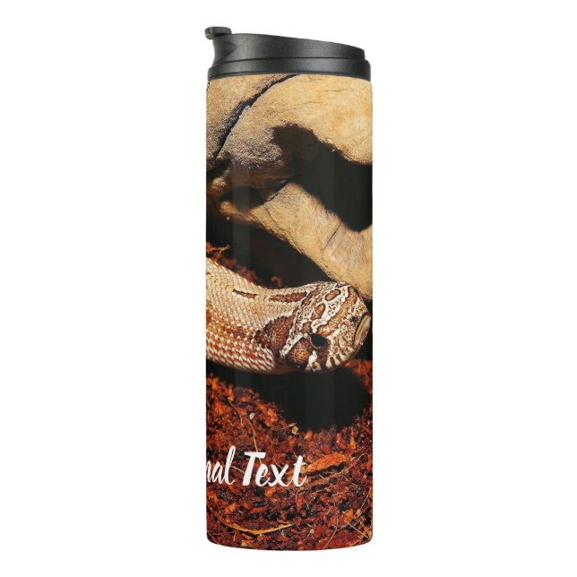 Bouteilles Isothermes Hognose Pet Snack (Tourné sur la droite)