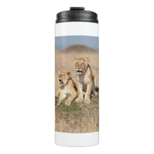 Bouteilles Isothermes Jeunes lions
