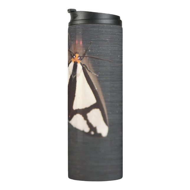 Bouteilles Isothermes Juste Un Bug (Tourné sur la droite)