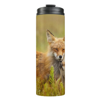 Bouteilles Isothermes Kit Renard Rouge vers le haut de Momma
