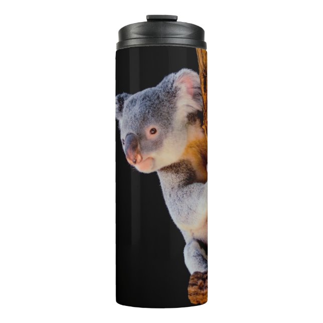Bouteilles Isothermes Koala Cute en gris arbre (Devant)