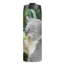 Koala Manger Gum Leaf Botte de boisson