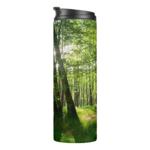 Bouteilles Isothermes La forêt au printemps