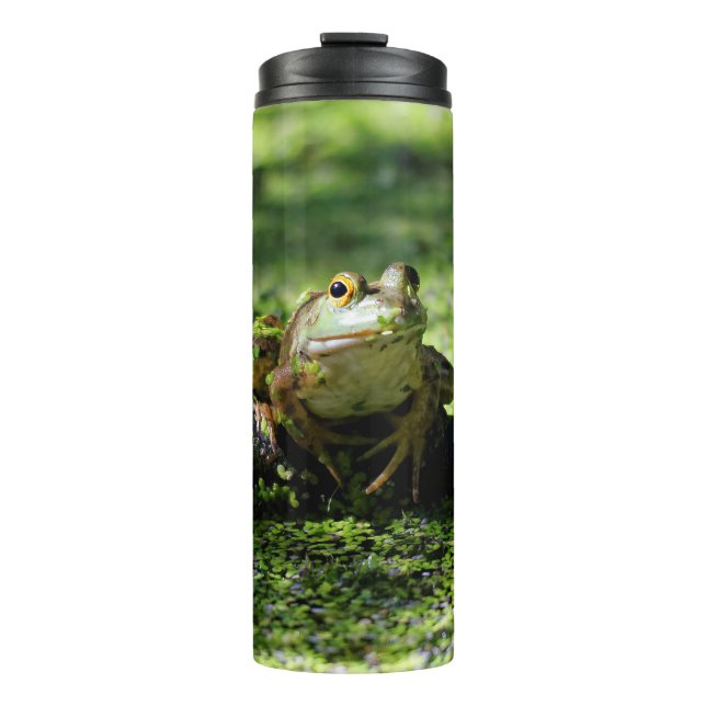 Bouteilles Isothermes La grenouille verte frappe un pot sur le tuyau (Devant)