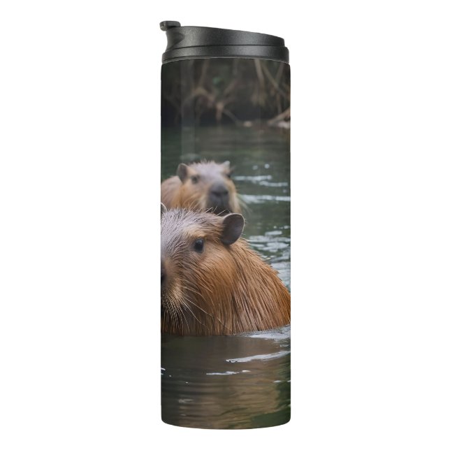 Bouteilles Isothermes La Nage Des Capybaras Dans La Rivière, (Tourné sur la droite)