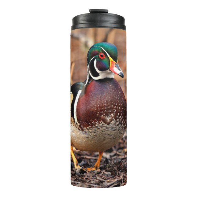 Bouteilles Isothermes Le canard à bois étonnant dans les bois (Devant)
