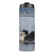 Le chien idiot dans l'eau, culbuteur,