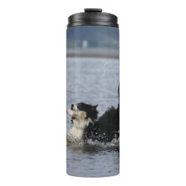 Bouteilles Isothermes Le chien idiot dans l'eau, culbuteur,