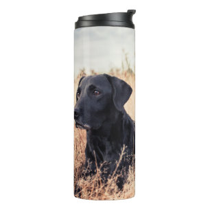 Bouteilles Isothermes Le Labrador Noir En Graine Sèche