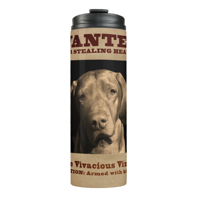 Bouteilles Isothermes Le Vizsla vivace (Devant)