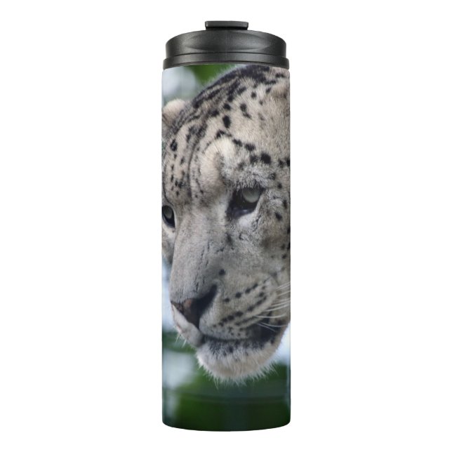 Bouteilles Isothermes Leopard 003 (Devant)