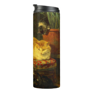 Bouteilles Isothermes Les chatons en jeu