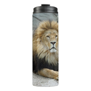 Bouteilles Isothermes Lion 020