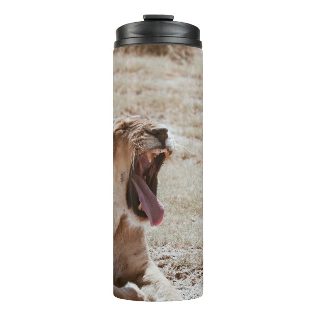 BOUTEILLES ISOTHERMES LION DORMIÈRE (Devant)