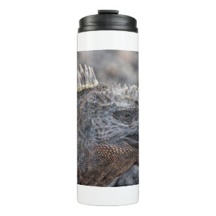 Bouteilles Isothermes Marine Iguana