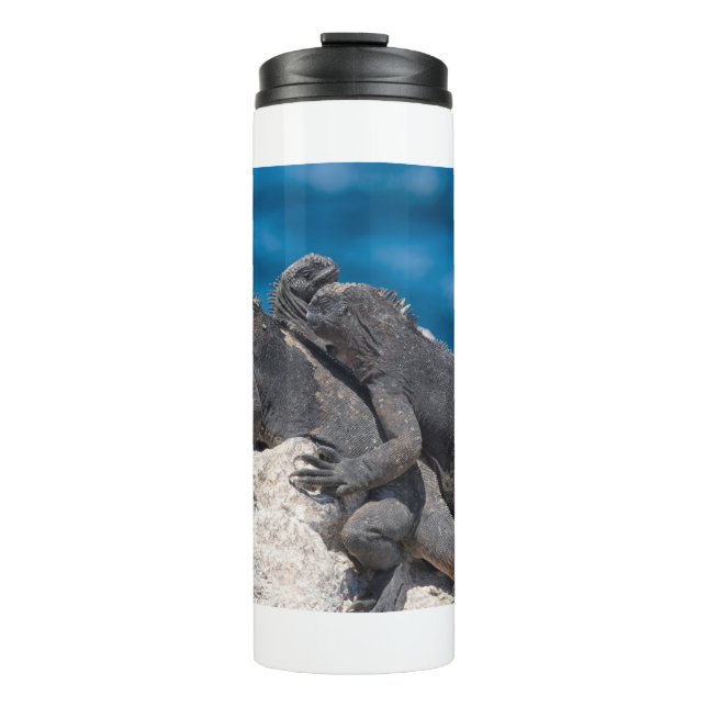 Bouteilles Isothermes Marine Iguana (Devant)