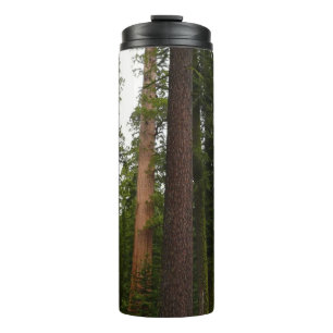 Bouteilles Isothermes Mariposa Grove dans le parc national de Yosemite