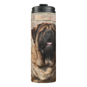 Bouteilles Isothermes Mastiff anglais