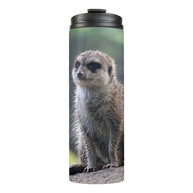 Bouteilles Isothermes Meerkat_20171101_by_JAMFoto (Devant)