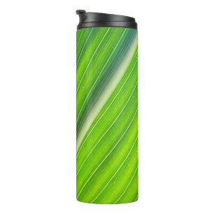 Bouteilles Isothermes Motif naturel vert