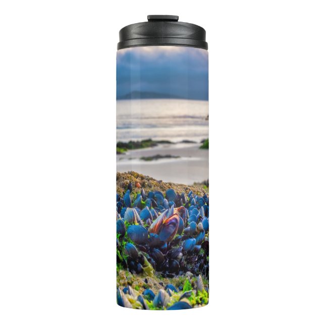 Bouteilles Isothermes Moules (Devant)