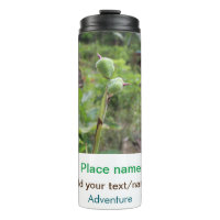 Nature plante photographie plage eau nom de voyage