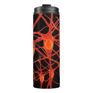 Bouteilles Isothermes neuronsneural, 3d, anatomie, axon, bio, biologique