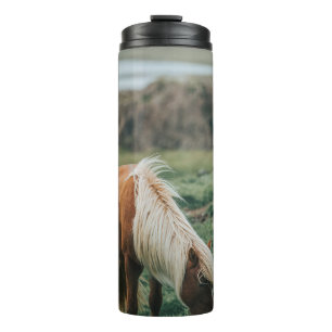 BOUTEILLES ISOTHERMES NICE HORSE