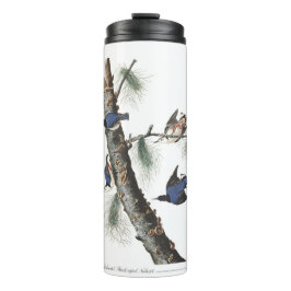 Bouteilles Isothermes Nuthatch à poitrine blanche Audobon (noir plafonné