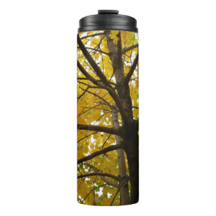 Bouteilles Isothermes Paire d'érables jaunes Nature d'automne
