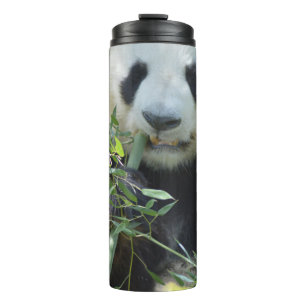 Bouteilles Isothermes Panda Thermal Tumbler
