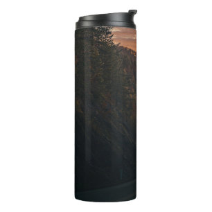 Bouteilles Isothermes Parcours forestier et vibes routières Paruline the