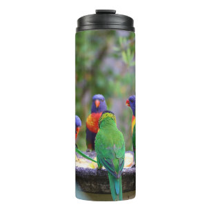 Bouteilles Isothermes Parrots colorés Arc-en-ciel Lorikeet Manger