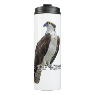 Bouteilles Isothermes Paruline thermale Osprey Hawk