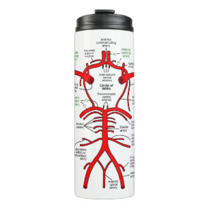 Bouteilles Isothermes Paruline thermique