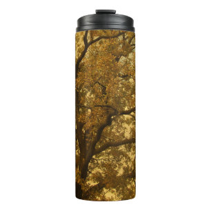 Bouteilles Isothermes Paruline thermique Automne Massive Arbre Jaune
