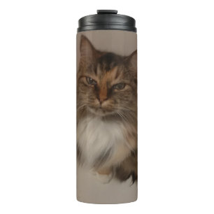 Bouteilles Isothermes Paruline thermique Calico Cat