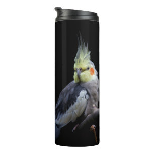 Bouteilles Isothermes Paruline thermique Cockatiel