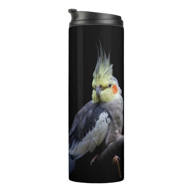 Bouteilles Isothermes Paruline thermique Cockatiel (Tourné sur la droite)