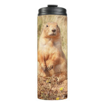 Paruline thermique pour chien des Prairies