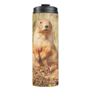 Bouteilles Isothermes Paruline thermique pour chien des Prairies