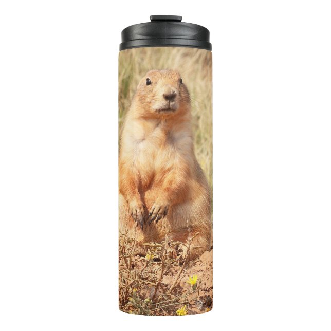 Bouteilles Isothermes Paruline thermique pour chien des Prairies (Devant)