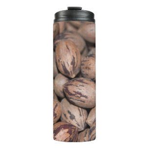 Bouteilles Isothermes Pecan